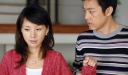 婆媳 电视剧,家庭和谐的密码解码